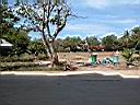 DSCN5396.JPG