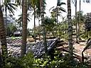 DSCN5407.JPG