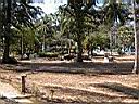 DSCN5409.JPG