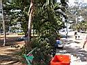 DSCN5410.JPG