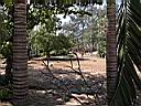 DSCN5413.JPG