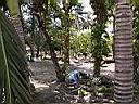 DSCN5414.JPG
