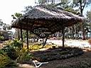 DSCN5415.JPG