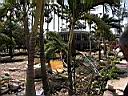 DSCN5417.JPG