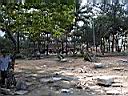 DSCN5427.JPG