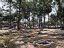 DSCN5428.JPG