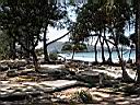 DSCN5429.JPG