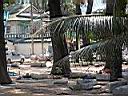 DSCN5430.JPG