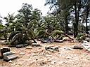 DSCN5435.JPG