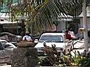 DSCN5438.JPG