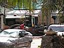DSCN5439.JPG