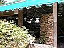 DSCN5478.JPG